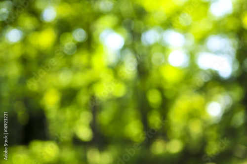 Принти на полотні Green background