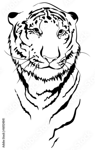 Tiger linear
