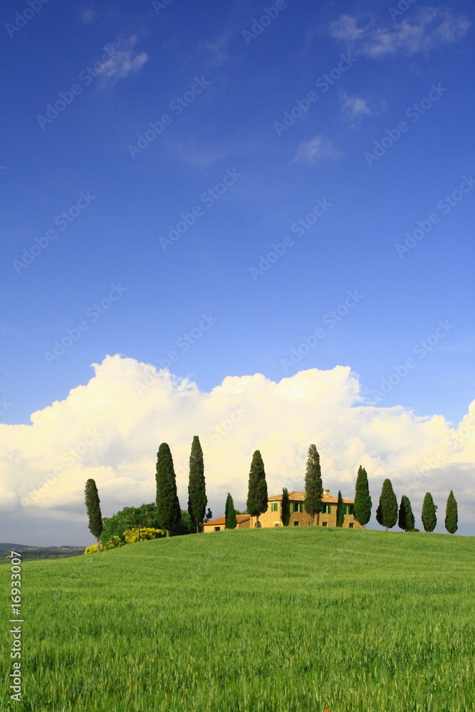 Wolkenhimmel, Zypressen, Haus, Toskana, Val d Orcia, Italien