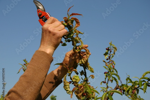 il lavoro dell'uomo photo