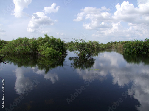 Fototapeta Naklejka Na Ścianę i Meble -  Floride - Everglades