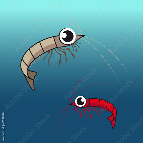 shrimps