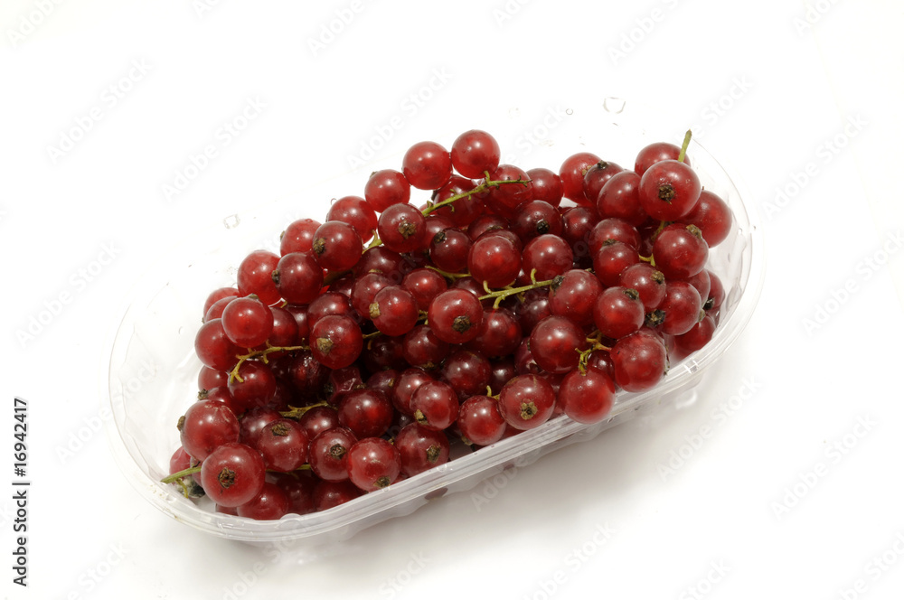 Cestino di ribes Cestino di ribes
