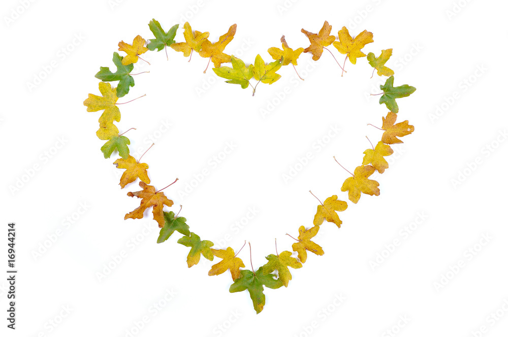 Fall details, leaves isolated in shape of heart