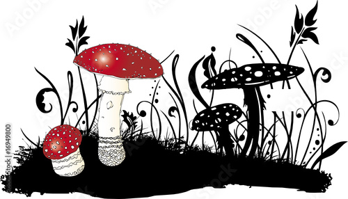 Fliegenpilze, Pilz, Herbst, Halloween, Wald, Wiese