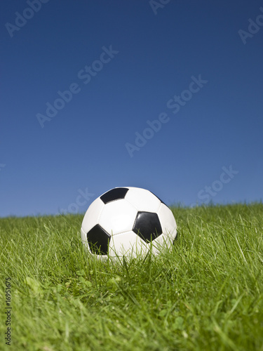 Black and white football in green grass.