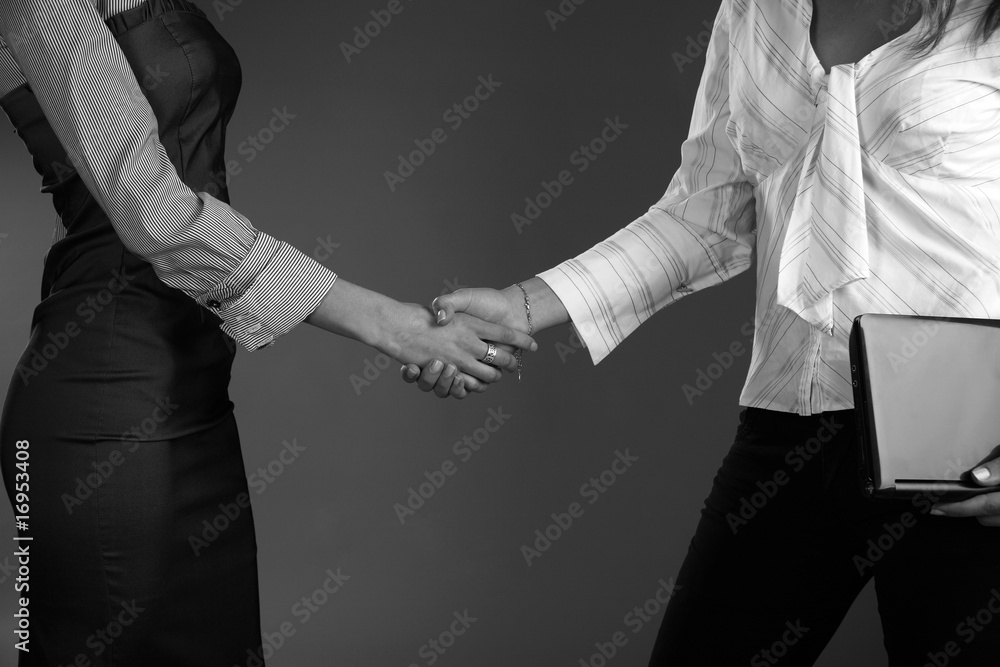 Fototapeta premium Business woman handshake
