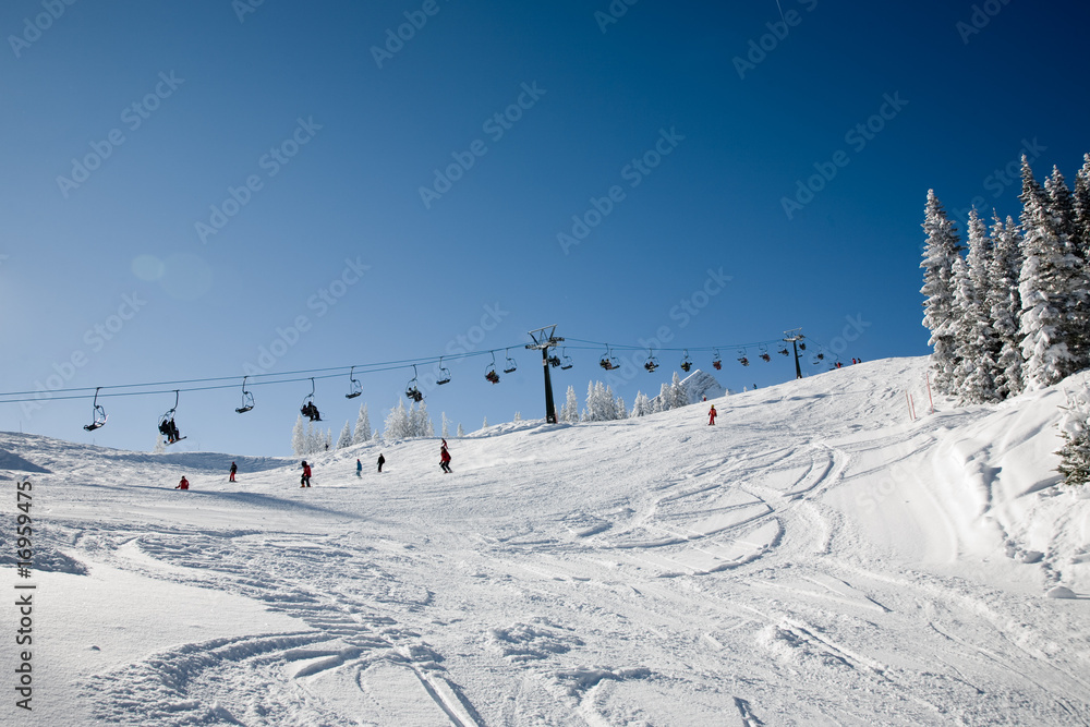 alpine ski #1