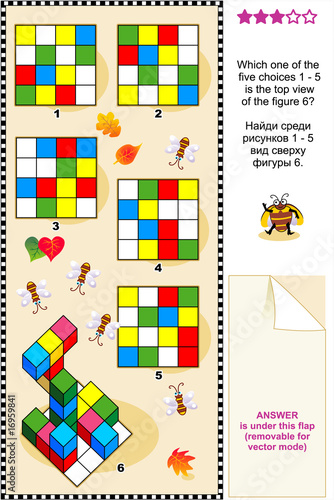 Visual puzzle: Find the top view of the figure 6.