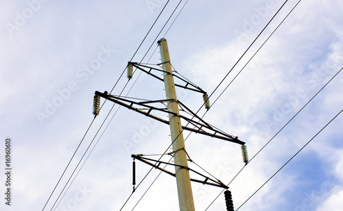 Electric Transmission Lines