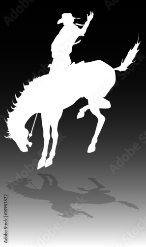rodeo cowboy on horse illustration