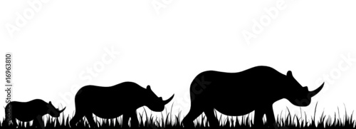 rhinoceros
