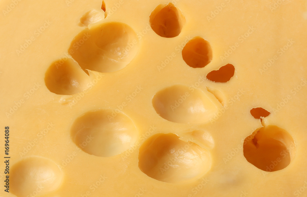 Cheese Cheese