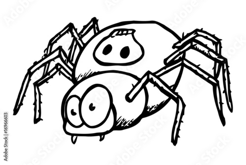 Spinne, Halloween, Herbst, Horror