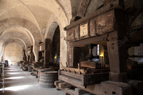 Altes Gewölbe auf einem Weingut photo