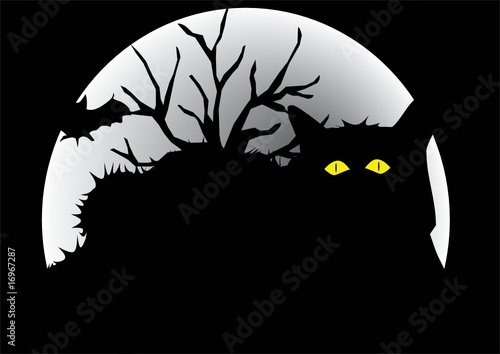 halloween dark cat front of moon