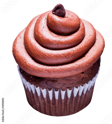 Choclate Swirl Cupcake