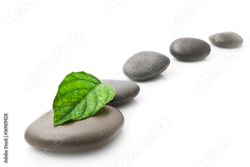 zen stones with leaves isolated. spa background