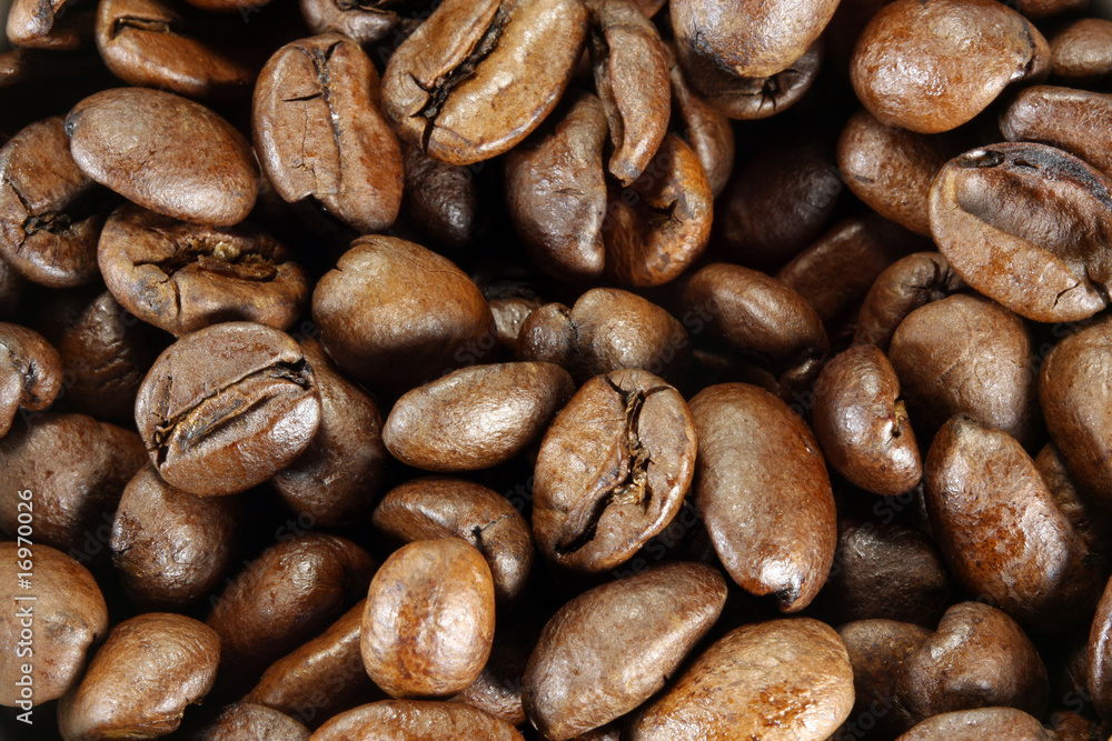Fototapeta premium Grains de café