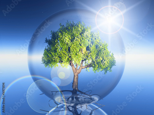 arbre en bulle et soleil