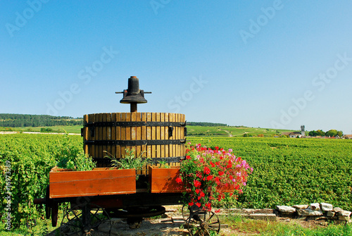 Bourgogne, pressoir et vignoble photo