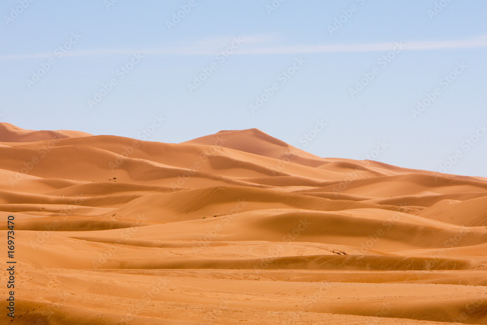 Fototapeta premium the dunes