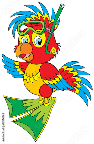 Parrot Diver