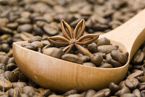 Tableau sur toile coffee and anise