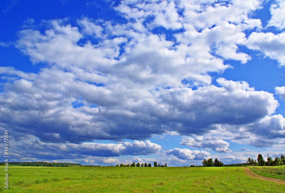 Summer cloudy view