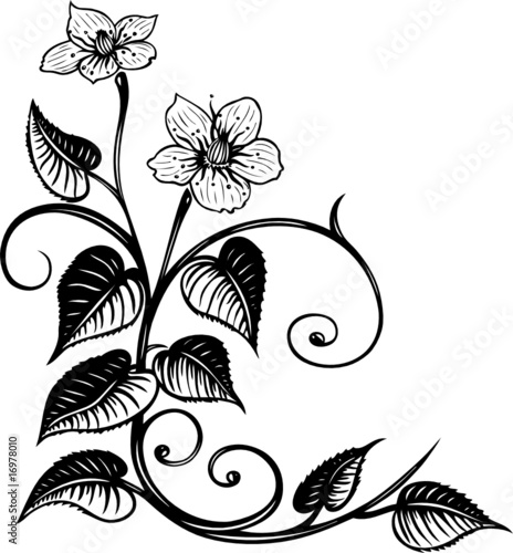 Blume, Blüte, Ranke, filigran, floral, ornamental
