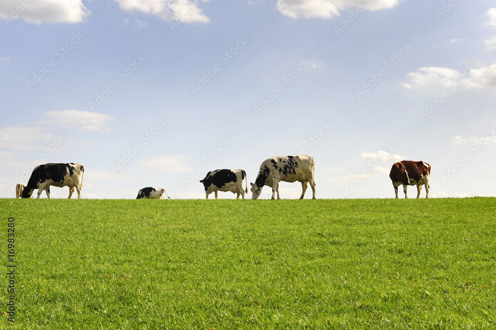 landwirtschaft Stock Photo | Adobe Stock