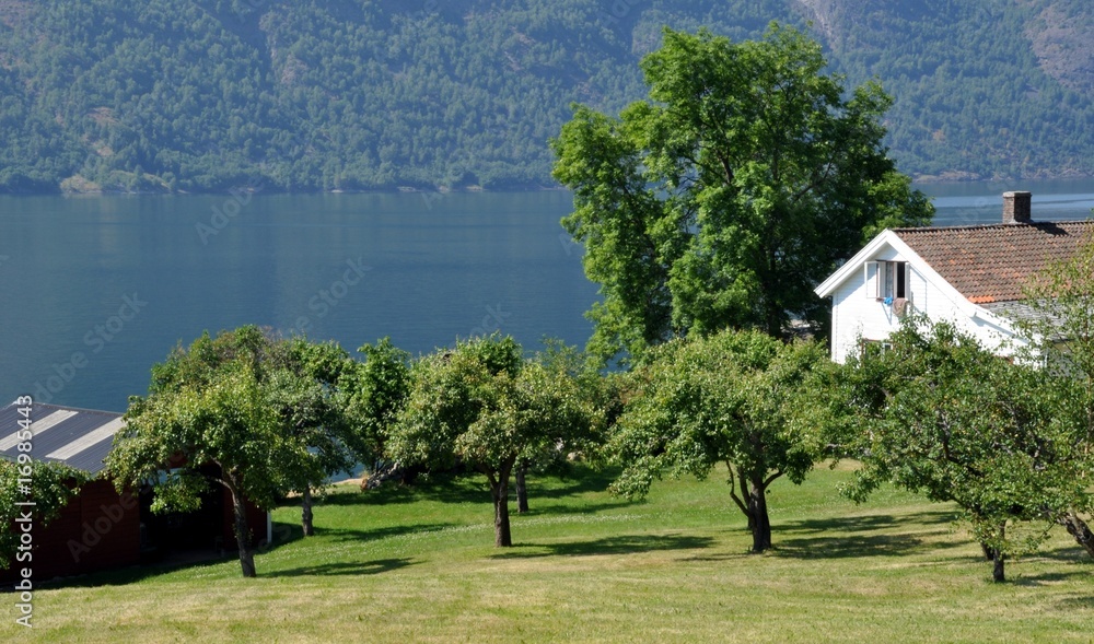 House overlooking a fjord
