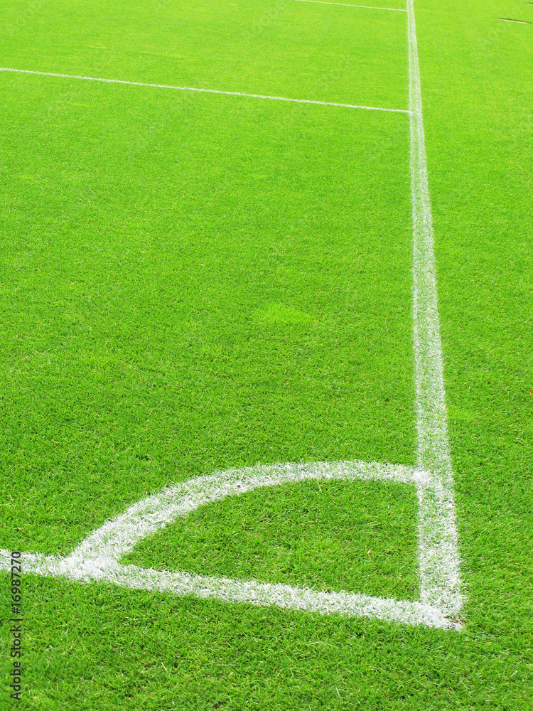 Obraz premium Soccer stadium