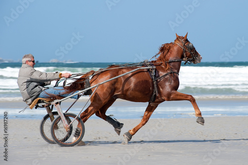Bilde på lerret Entrainement sur la plage
