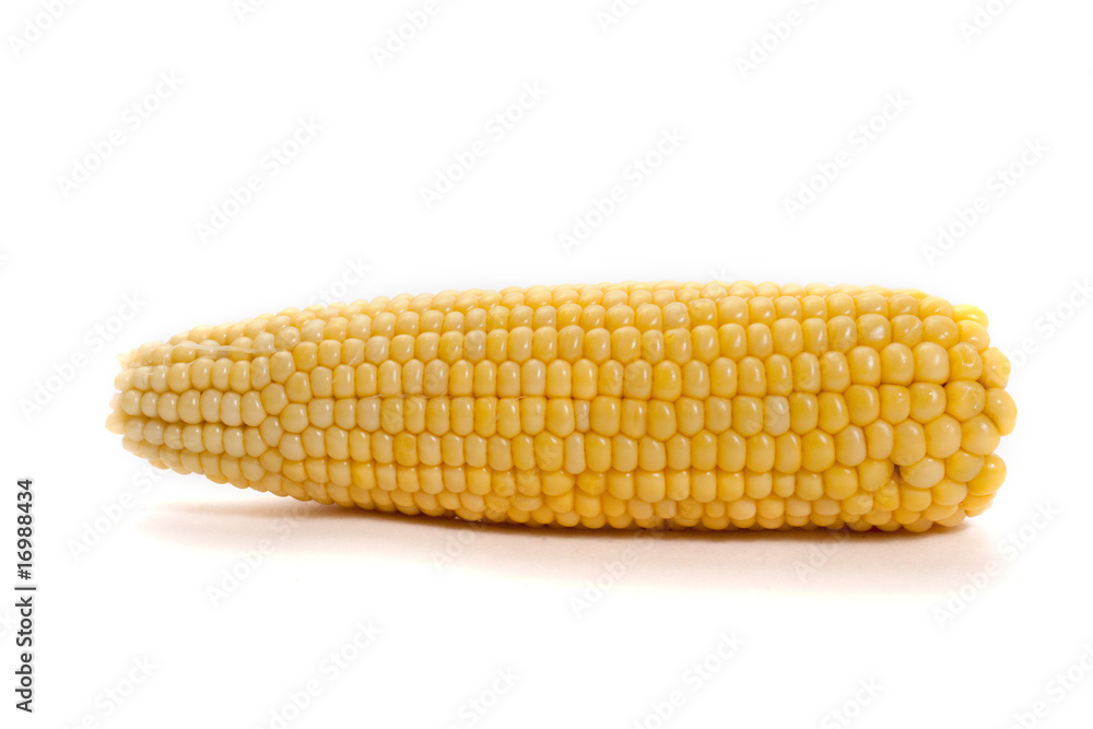 corn corn