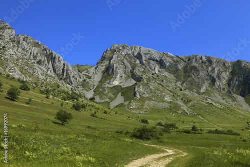 Fototapeta Naklejka Na Ścianę i Meble -  Trascau Mountains,Transylvania,Romania