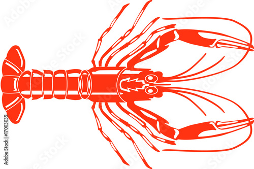scampi