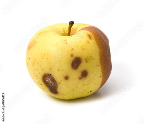 Fotografie Bad rotten apple isolated