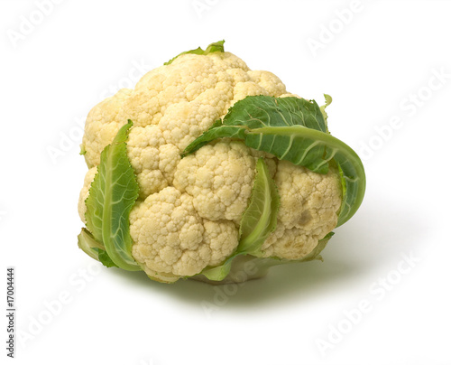Head of Cauliflower isolated