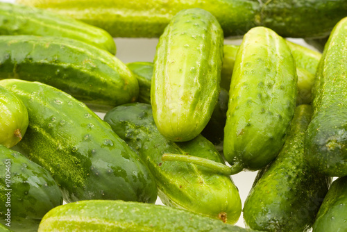 Fresh natural cucumber to background
