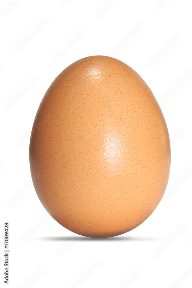 Isolated egg
