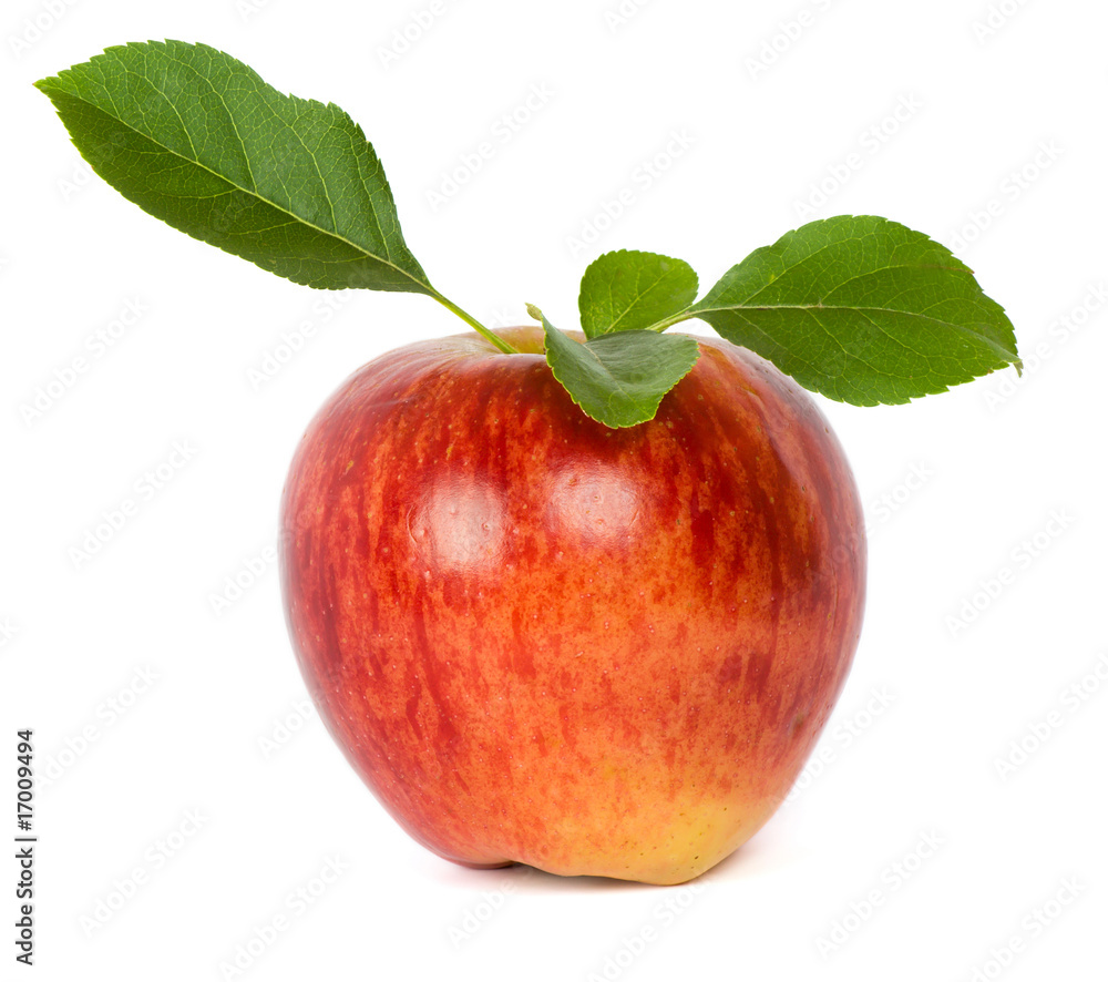 ripe fresh red apple with leaf isolated on white ripe fresh red apple with leaf isolated on white