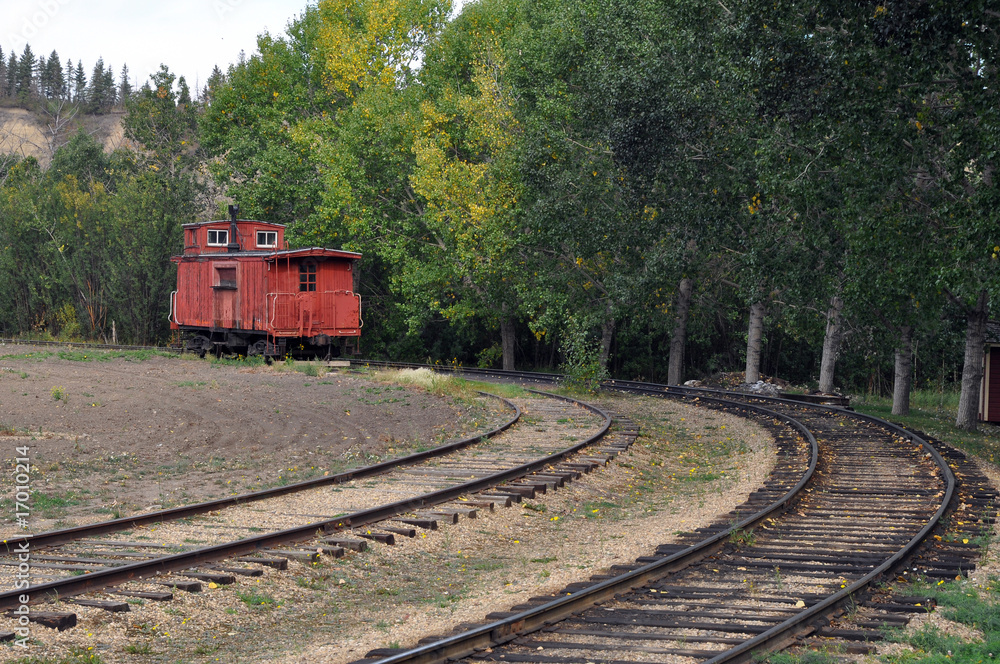 Old Abandoned Train