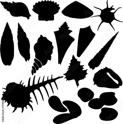 sea shells vector silhouettes