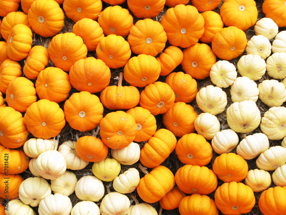 Various pumkins