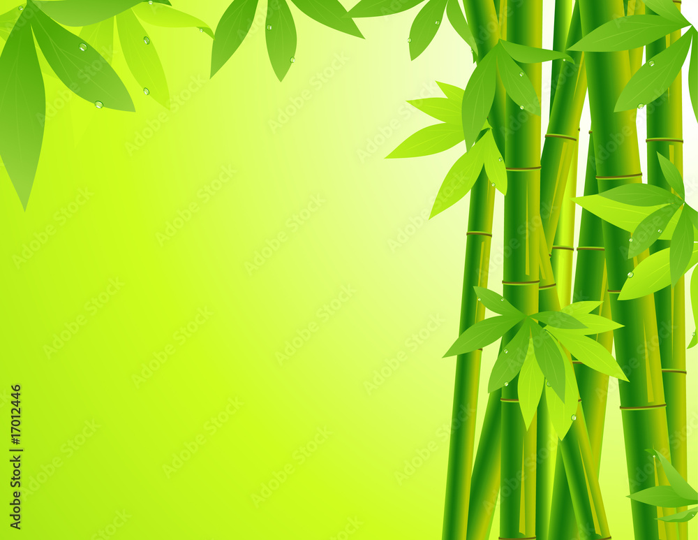 Naklejka premium Bamboo background