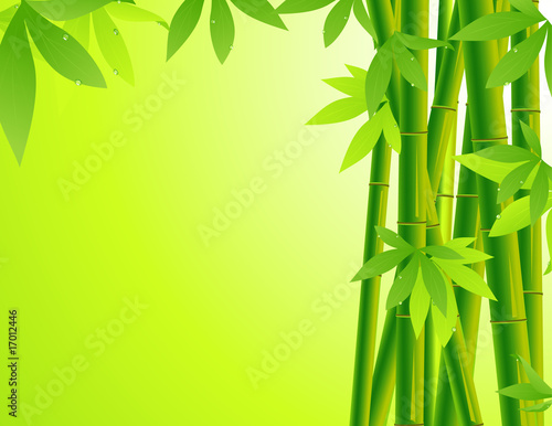 Bamboo background