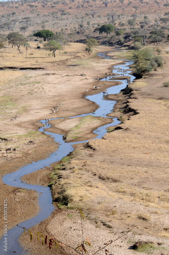 the water line _Tanzania