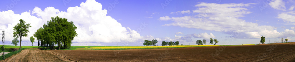 Obraz premium Paesaggio cuneese