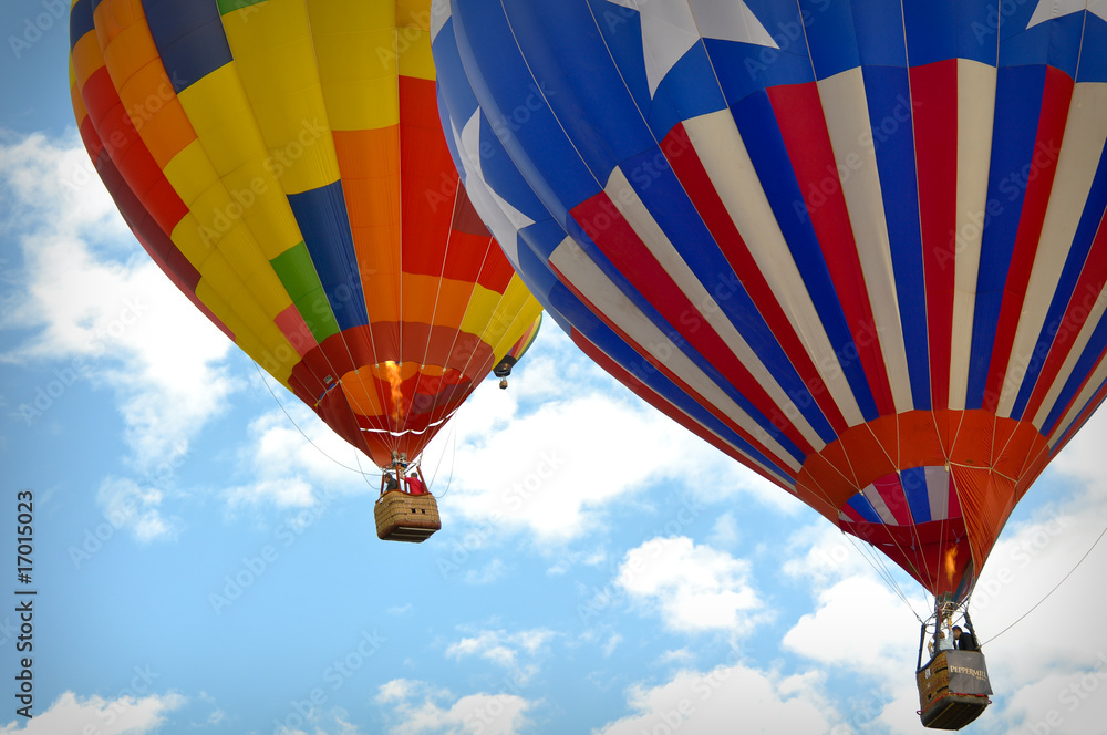 Fototapeta premium Hot Air Balloon